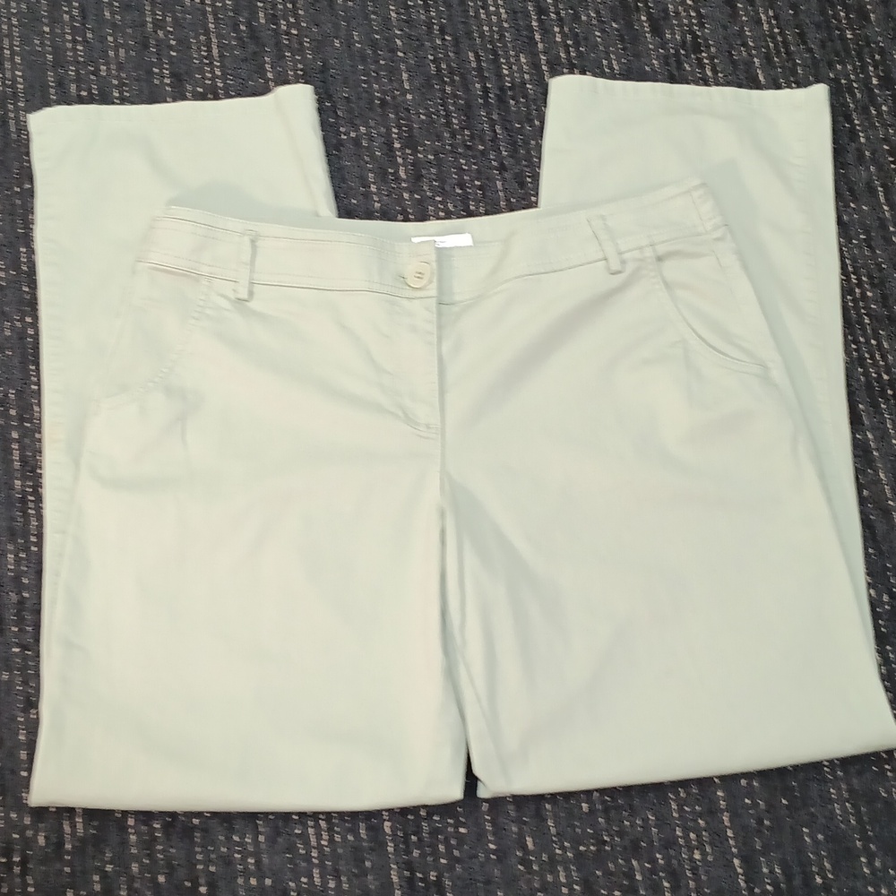 Ann Taylor Womens Light Green Straight Leg Casual Pants sz 14 Normcore